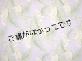 コットン100％生地