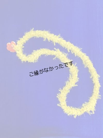 画像1: オハイアリィ レイ(現品限り）