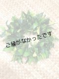 3リーフファーンヘッド　現品限り