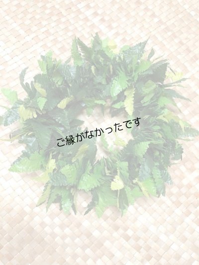 画像1: 3リーフファーンヘッド　現品限り