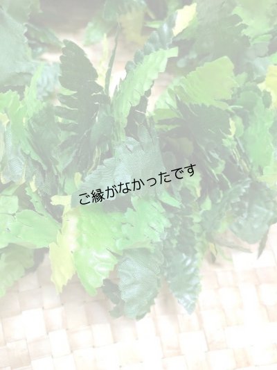 画像2: 3リーフファーンヘッド　現品限り