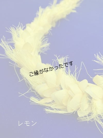 画像3: オハイアリィ レイ(現品限り）