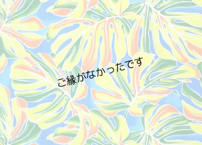 画像1: 直輸入ハワイアンファブリック