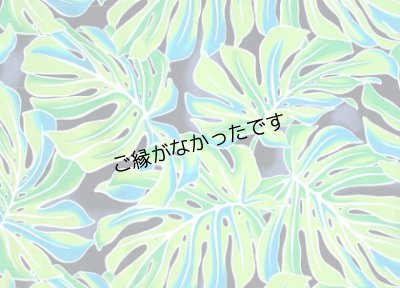 画像1: 直輸入ハワイアンファブリック