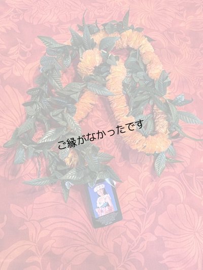 画像1: マイレ＆イリマオープンレイ現品限り