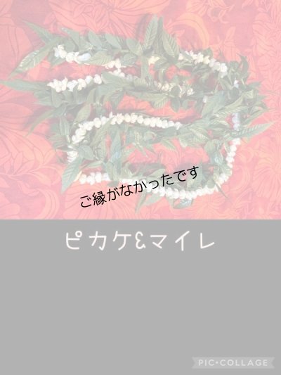 画像2: マイレ ＆ピカケオープンレイ現品限り