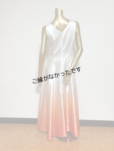 画像2: アウトレットドレスL