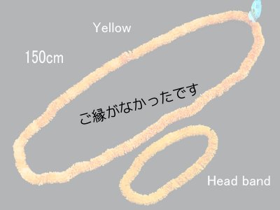 画像1: イリマロイヤルロングレイ（イエロー）(現品限り）