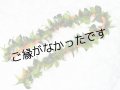 マイレ＆イリマオープンレイ現品限り