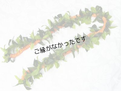 画像1: マイレ＆イリマオープンレイ現品限り