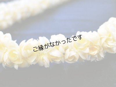 画像1: ピカケダブルロングレイ（クリーム）現品限り