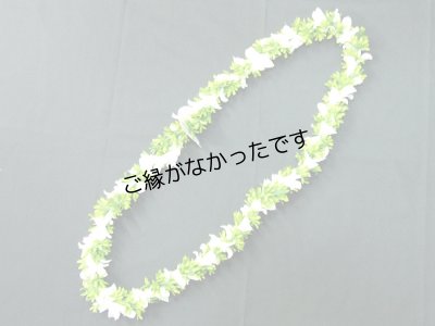 画像2: タブローズ＆グリーンローズWロングレイ＜現品限り＞