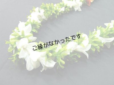 画像1: タブローズ＆グリーンローズWロングレイ＜現品限り＞