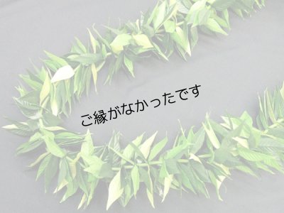 画像1: マイレ ラウ リィ ダブルオープンレイ現品限り