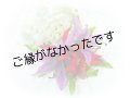 タイガーリリイ/ピカケ/スパイダーリリィヘアクリップ　＜現品限り＞