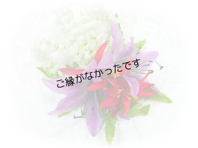 画像1: タイガーリリイ/ピカケ/スパイダーリリィヘアクリップ　＜現品限り＞