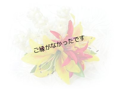 画像1: タイガーリリイ/ピカケ/スパイダーリリィヘアクリップ ＜現品限り＞