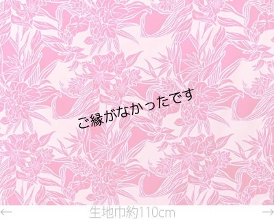 画像2: 直輸入ハワイアンファブリック