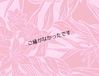 画像3: 直輸入ハワイアンファブリック