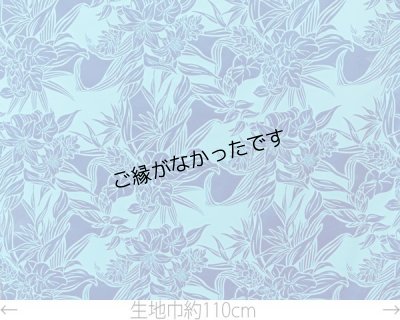 画像2: 直輸入ハワイアンファブリック
