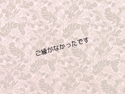 画像1: 直輸入ハワイアンファブリック