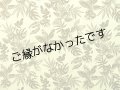 直輸入ハワイアンファブリック