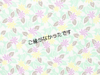 画像1: 直輸入ハワイアンファブリック