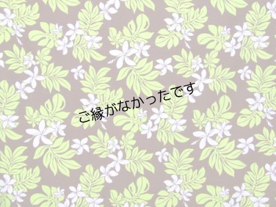 画像1: 直輸入ハワイアンファブリック