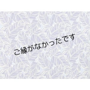 画像: レーヨン100％生地
