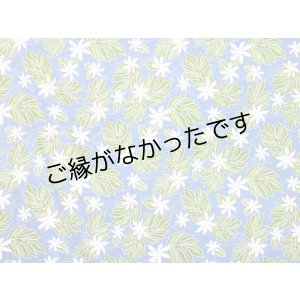 画像: レーヨン100％生地