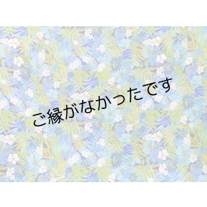 画像: レーヨン100％生地