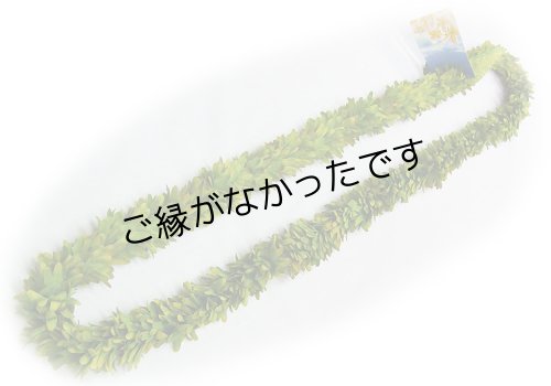 画像1: グリーンローズダブルロングレイ/2トーン現品限り