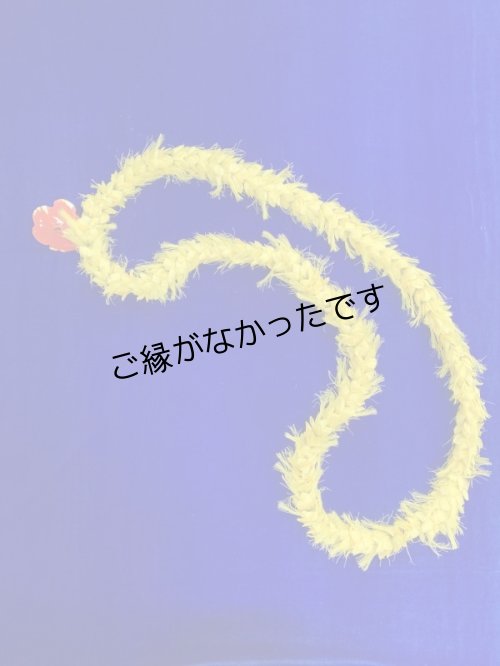 画像1: オハイアリィ レイ(現品限り）