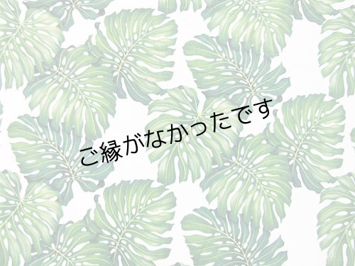 画像1: ハワイ柄フリース生地  0.6ｍ