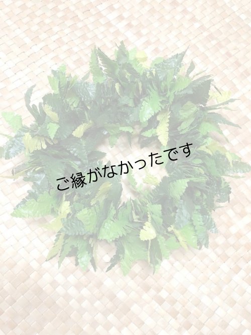 画像1: 3リーフファーンヘッド　現品限り