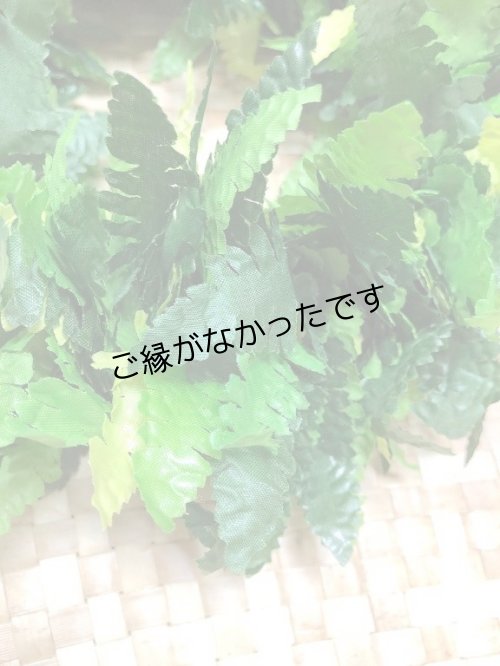 画像2: 3リーフファーンヘッド　現品限り