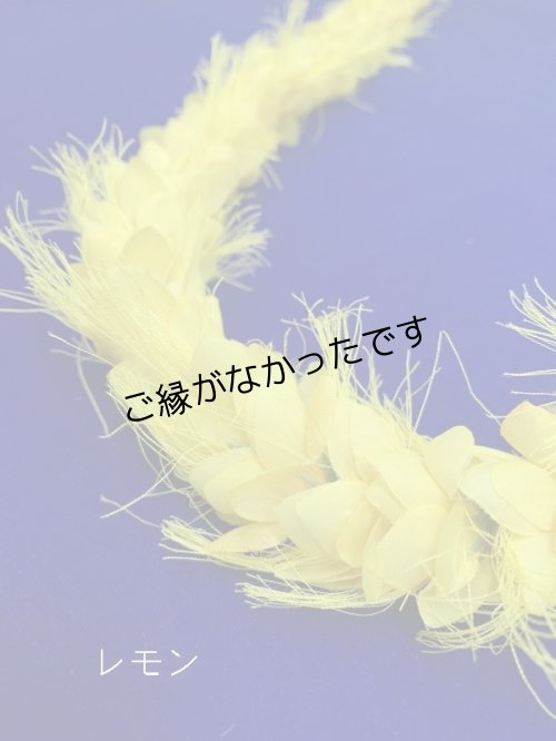 画像3: オハイアリィ レイ(現品限り）