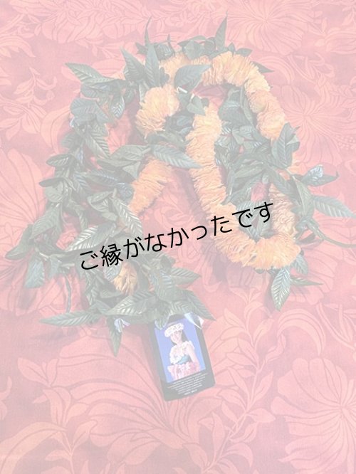 画像1: マイレ＆イリマオープンレイ現品限り