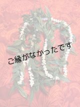 画像: マイレ ＆ピカケオープンレイ現品限り