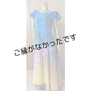 画像: アウトレットドレスL