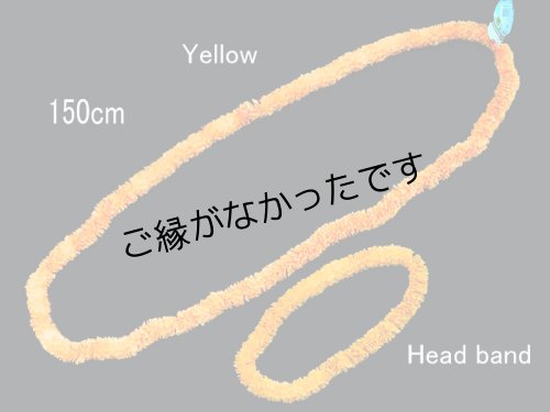 画像1: イリマロイヤルロングレイ（イエロー）(現品限り）