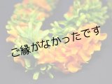画像: プアケニケニ＆グリーンローズWロングレイ(現品限り）