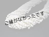 画像: シェルツイストチョーカー　＜現品限り＞
