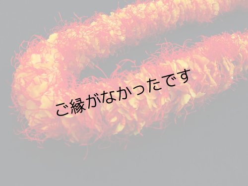 画像1: オハイアリィーヘアバンド　現品限り
