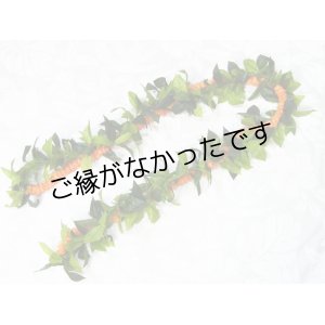 画像: マイレ＆イリマオープンレイ現品限り