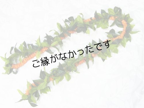 画像1: マイレ＆イリマオープンレイ現品限り