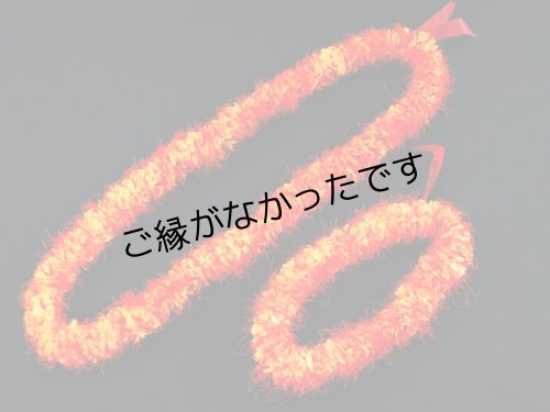 画像2: オハイアリィーヘアバンド　現品限り