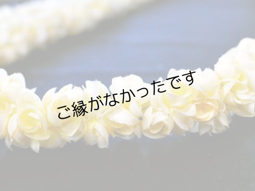 画像1: ピカケダブルロングレイ（クリーム）現品限り