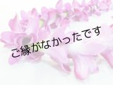 画像: チューブローズレイ（パープル）現品限り