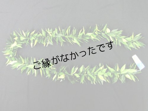 画像2: マイレ ラウ リィ ダブルオープンレイ現品限り